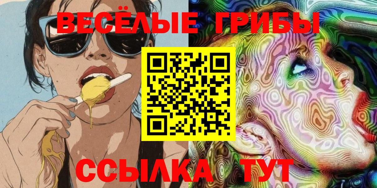 Псилоцибиновые грибы прущие грибы  Вход с VPN  как найти   Кызыл 